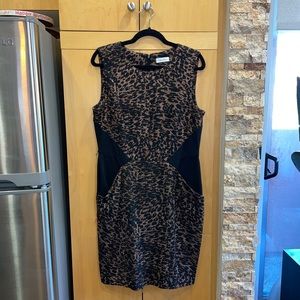 Calvin Klein leopard sheath-WORN ONCE!